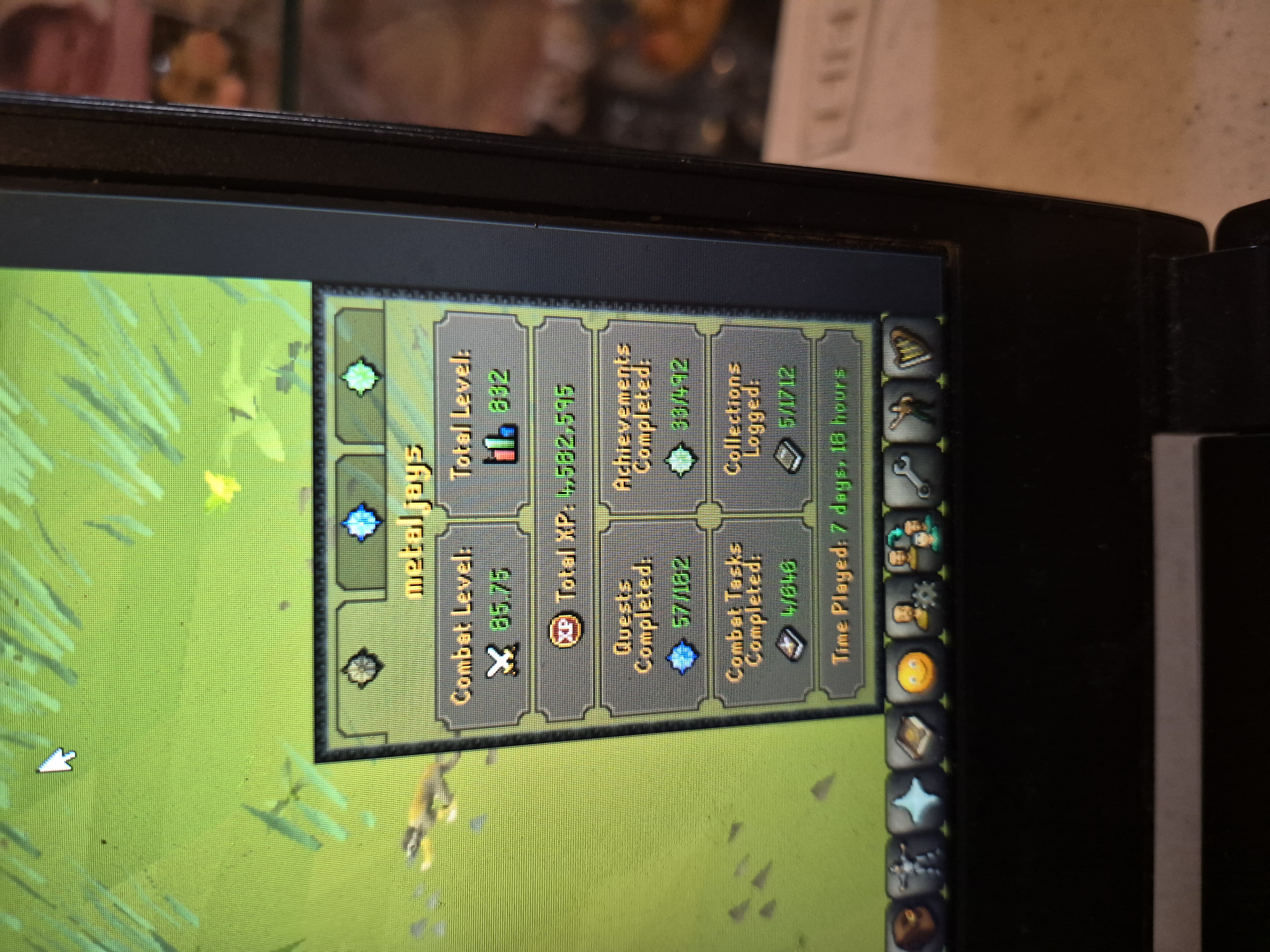 RuneScape Screenshot 3
